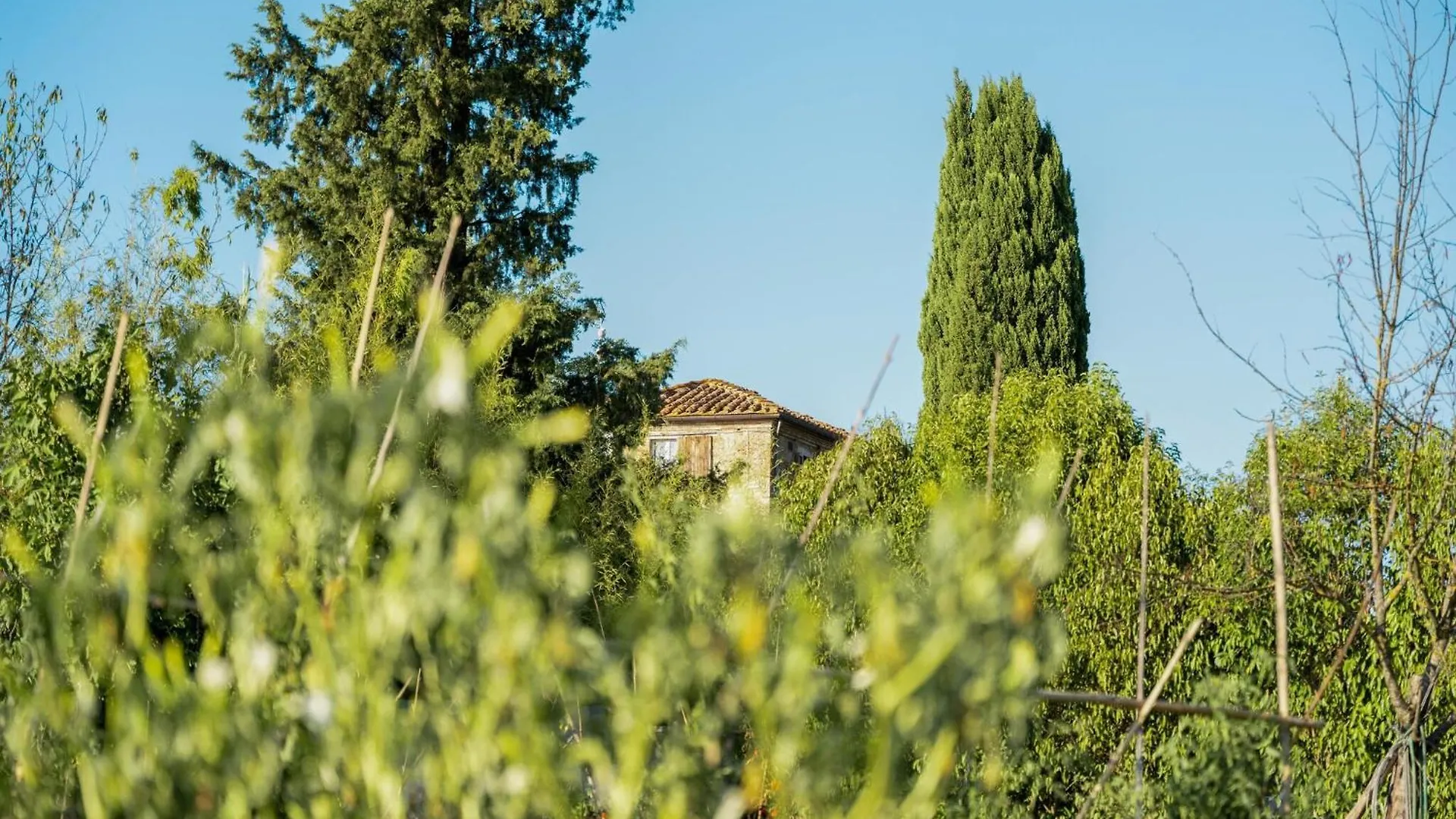Farmhouse With Spacious Garden And Pool Asciano